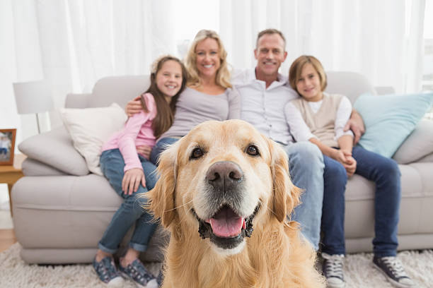 Read more about the article Don’t Forget To Protect Your Furry Family: Estate Planning For Your Pets